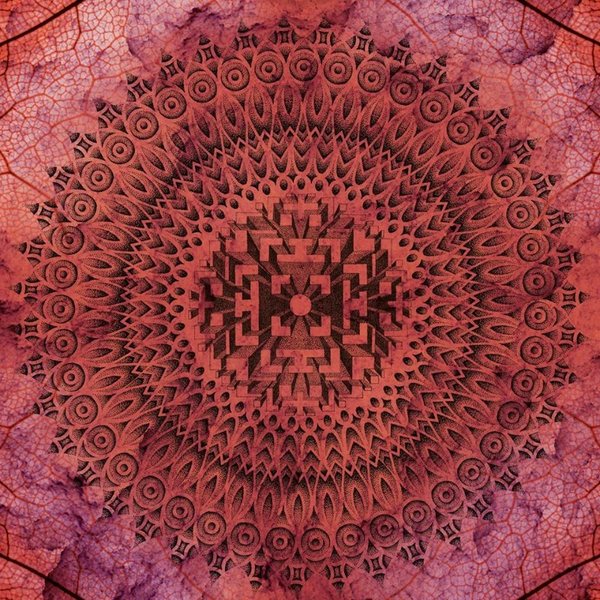 ALTERED STATES 3 Mar '16, 23:00