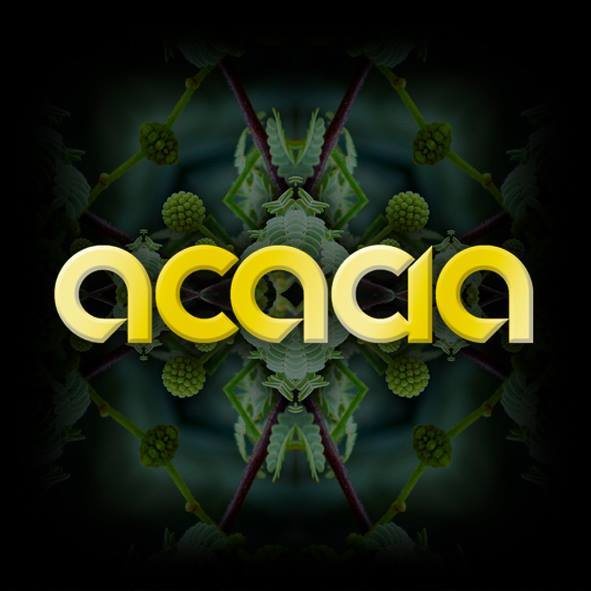 acacia 15 Oct '16, 23:30
