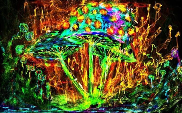 Psychedelisches Pilzgematsche 24 Jun '17, 23:00