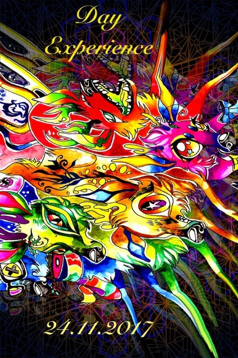 Day Experience 16 24 Nov '17, 23:00