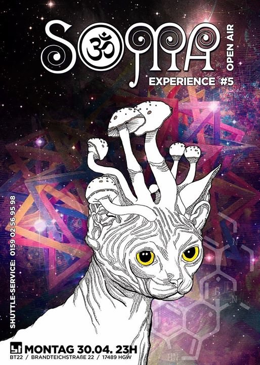 Soma-Experience 30 Apr '18, 15:00