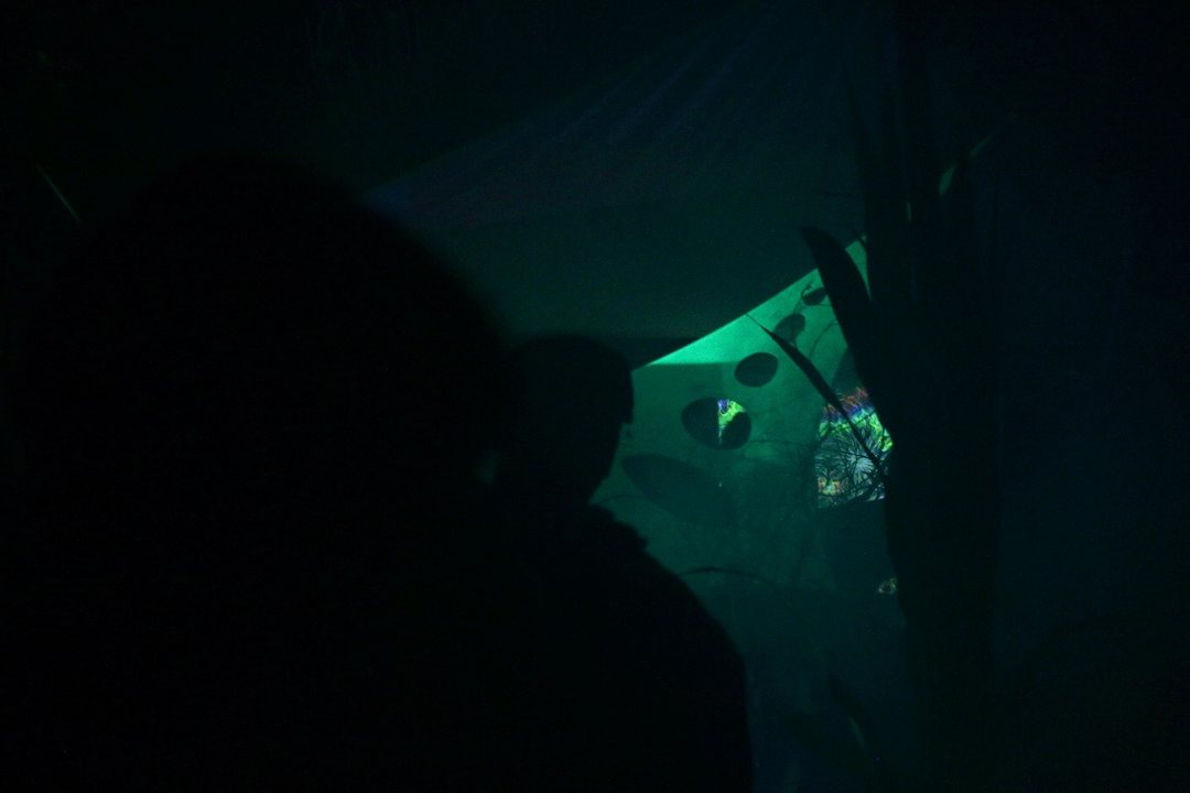 FractAliens' Abduction 17 Aug '18, 21:00