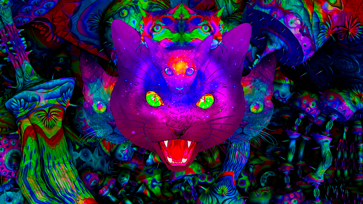 PSY CAT - High Roller / StörKlänge / Hair Cutter 12 Apr '19, 23:00