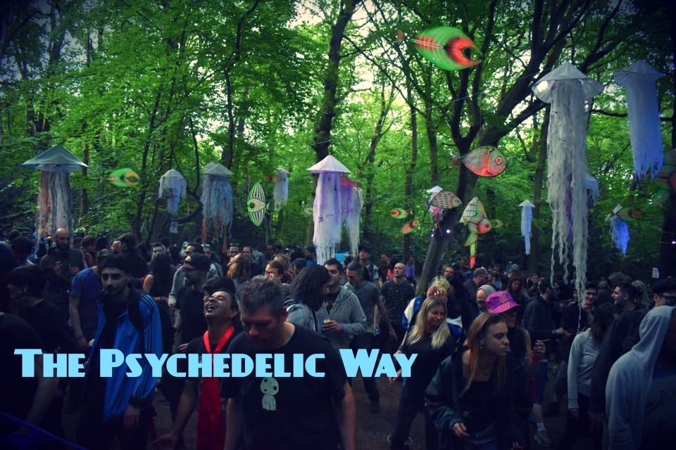 The Psychedelic Way Free Forest Party 17 Aug '19, 23:00