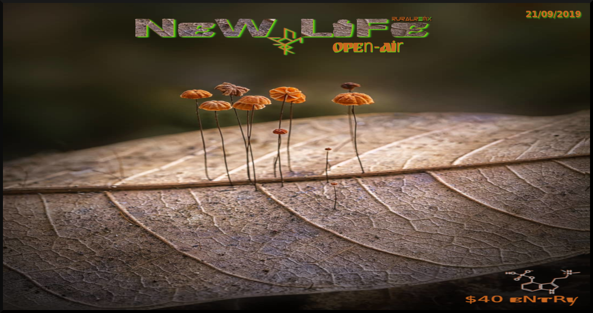 New Life - OpenAir 21 Sep '19, 22:00