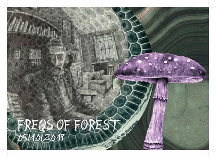 freqs of forrest 5 Oct '19, 22:00