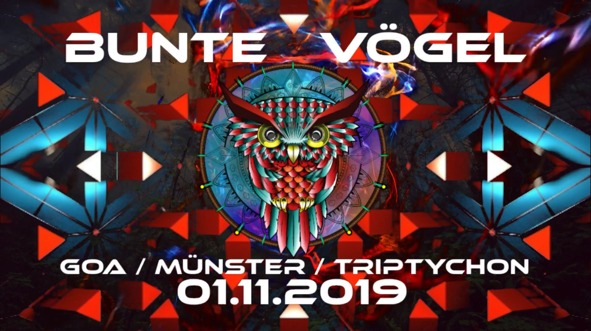 Bunte Vögel 1 Nov '19, 23:00