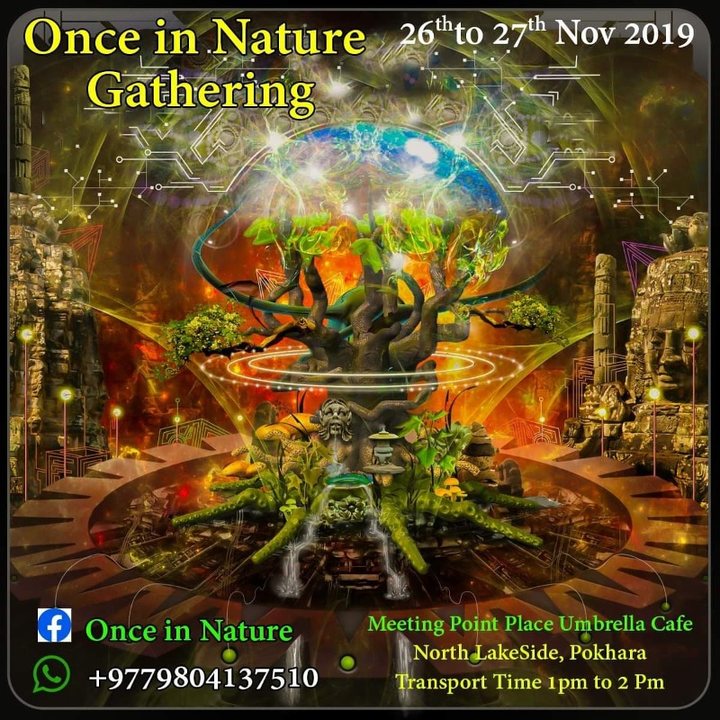 Once in nature 26 Nov '19, 11:00
