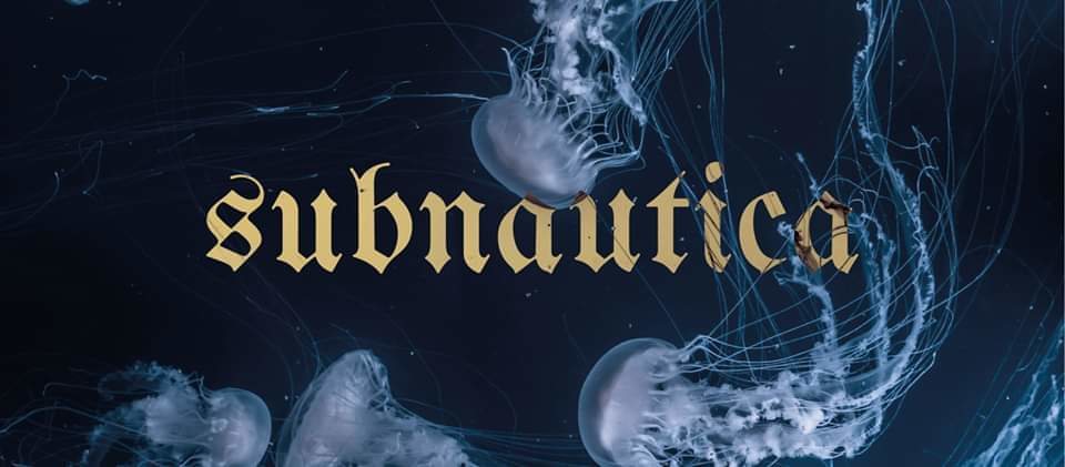 Subnautica 4 Jan '20, 23:00