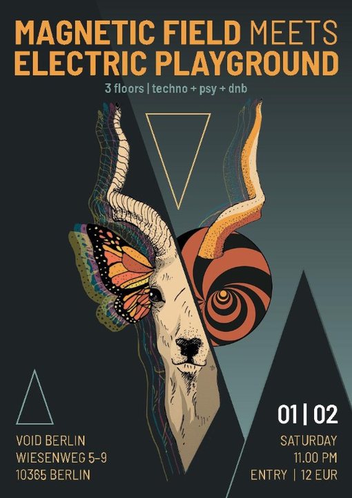Magnetic Field meets Electric Playground 1 Feb '20, 23:00