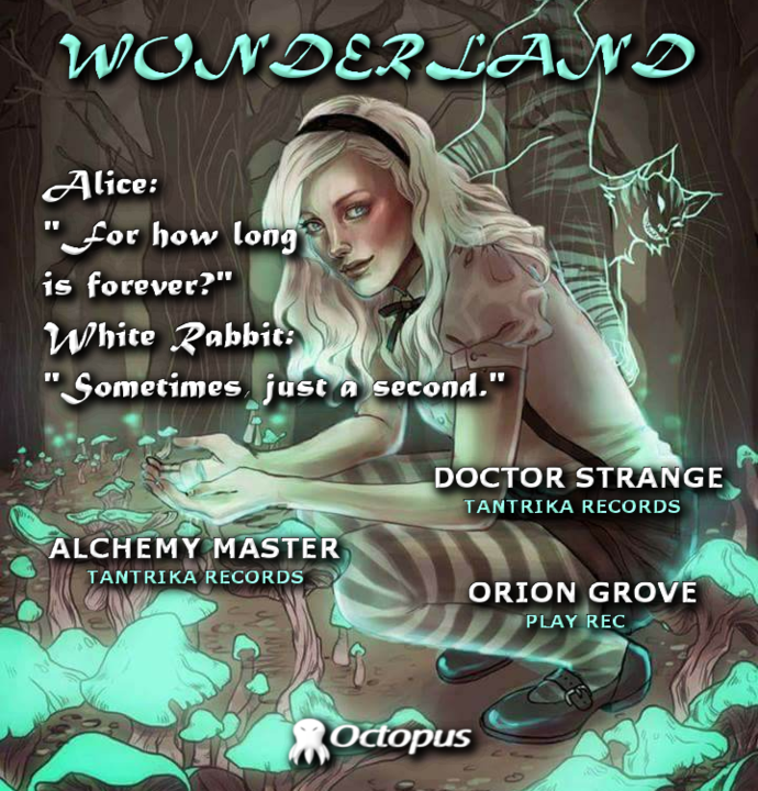 Wonderland ۞ return to the rabbit hole 22 Feb '20, 19:30