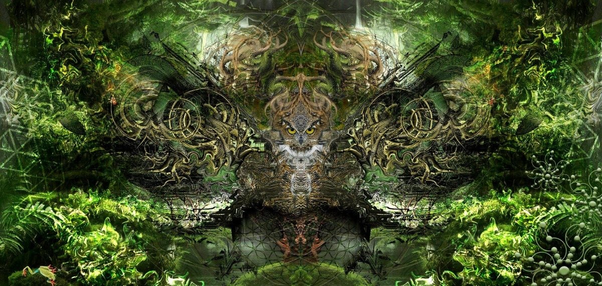 SPIRITS OF THE JUNGLE MID-SUMMER SOLSTICE 20 Jun '19, 12:00